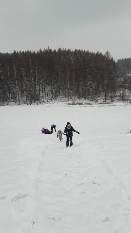 Przytulne Na Poddaszu Еленя-Гура Экстерьер фото